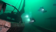 Oceanex 17
