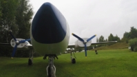 Piper 005